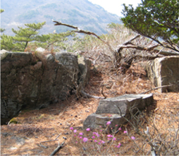 탑포산성 이미지