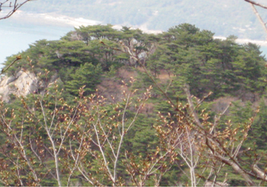 탑포산성 이미지
