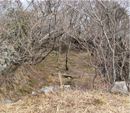 천장산 레이다기지 이미지