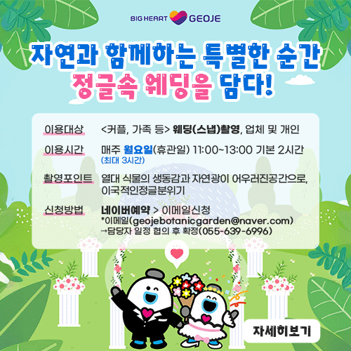 정글돔 웨디촬영 장소대여 (새창으로 열림)