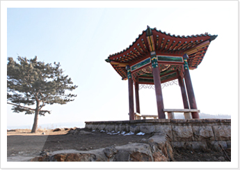 정면에서 바라보는 정자