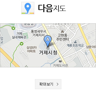 다음지도 확대보기