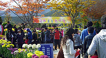 거제섬꽃축제 2006