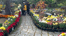 거제섬꽃축제 2007
