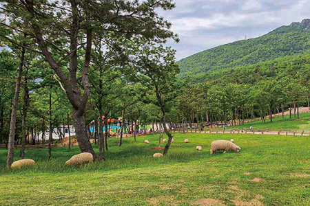 숲소리공원