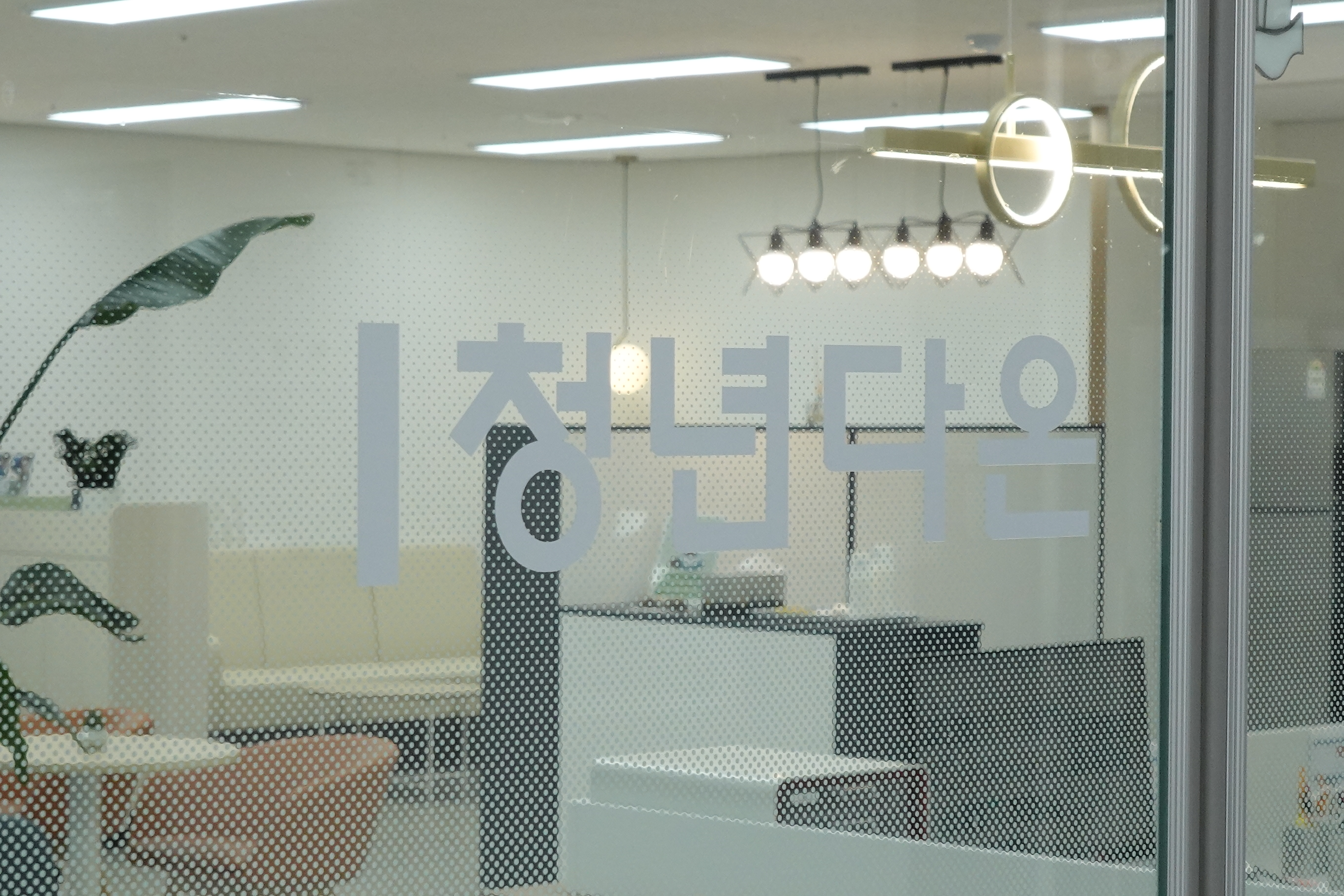 (문화)청년다온