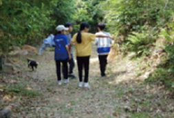 숲속은 산책중인 아이들