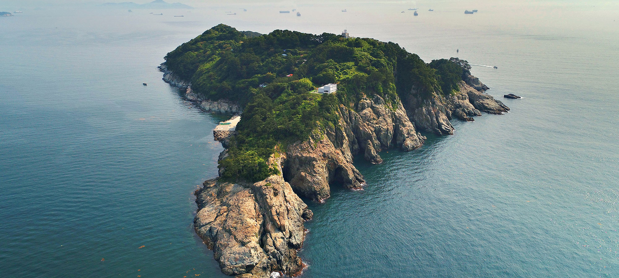 동백섬 지심도
