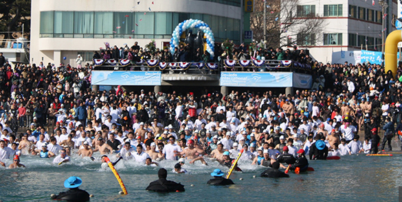 거제도 국제펭귄수영축제