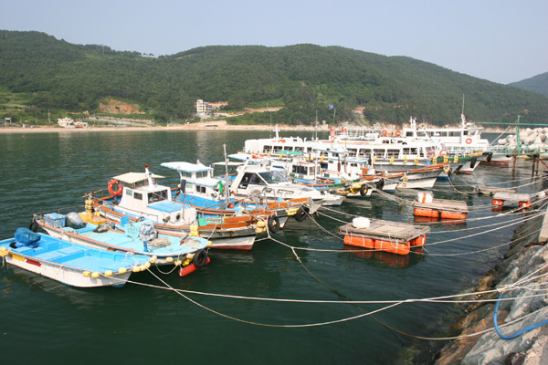 와현 모래숲 해변 해수욕장