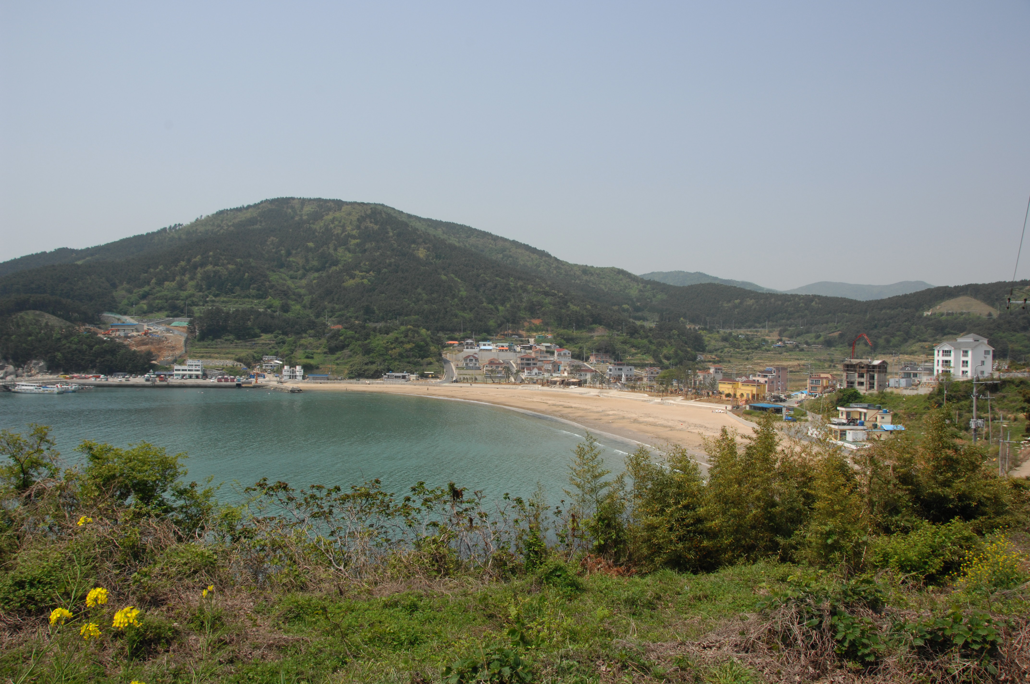 와현 모래숲 해변 해수욕장