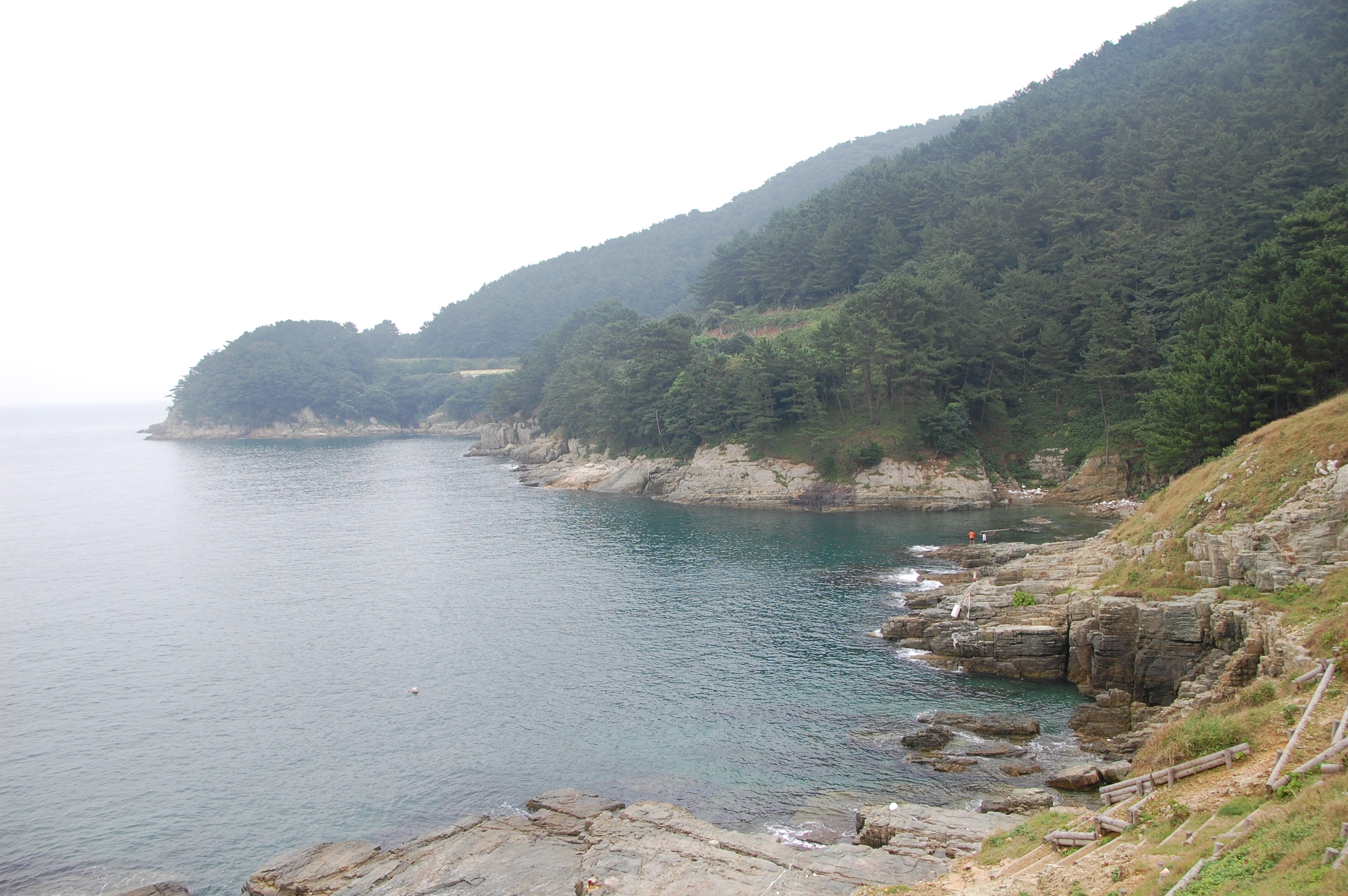 바람의 언덕
