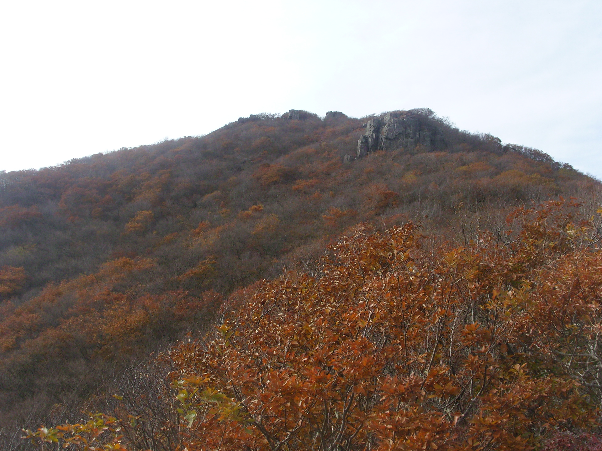 노자산