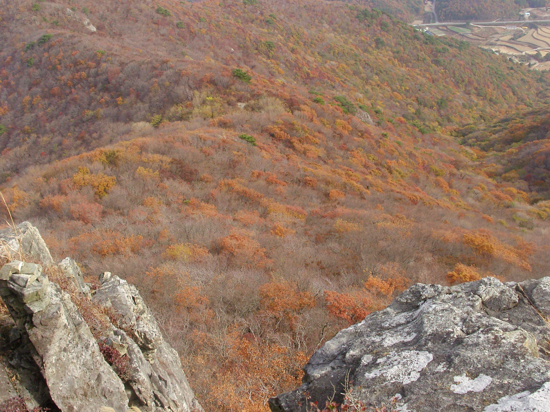 노자산