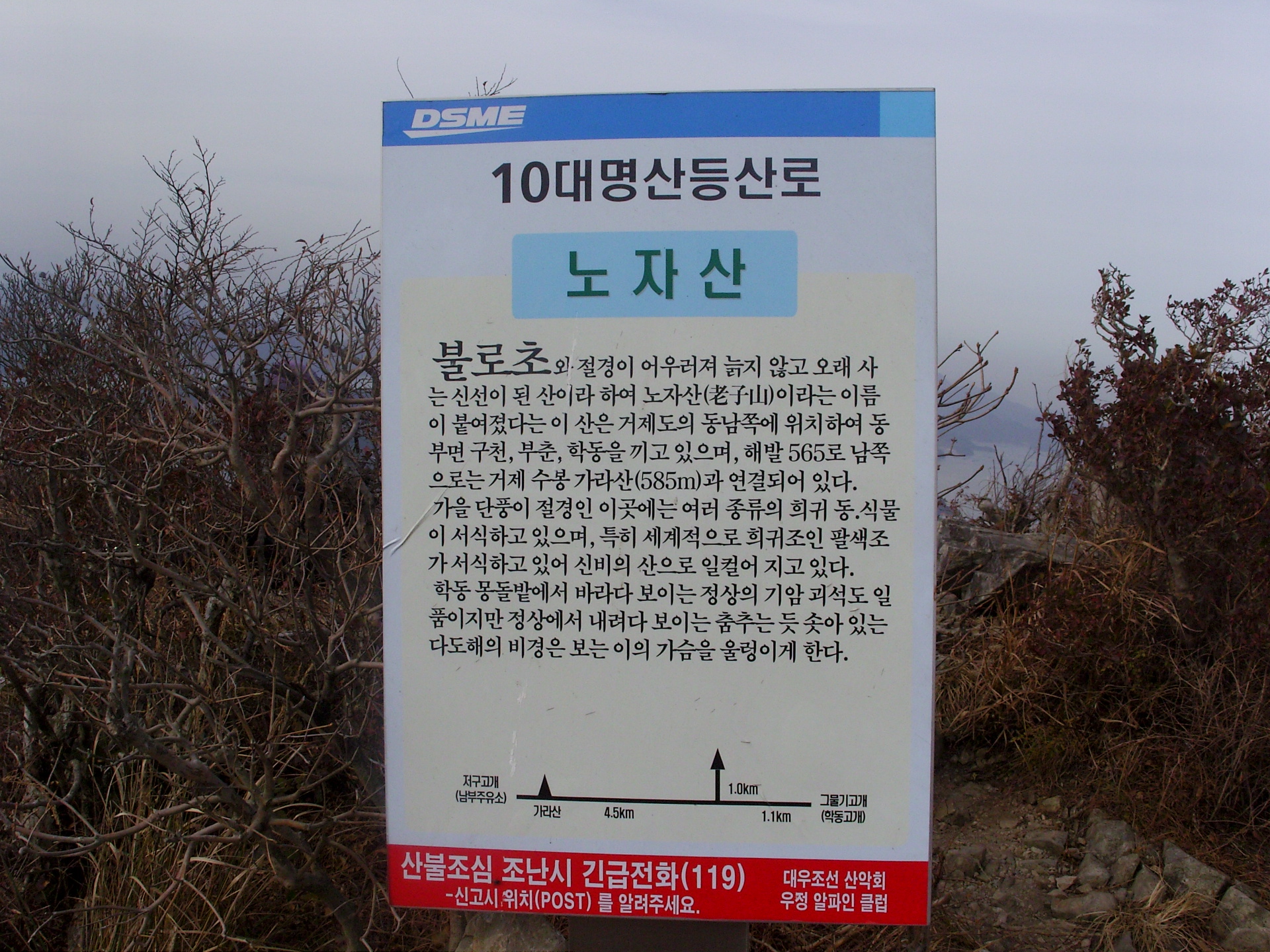노자산