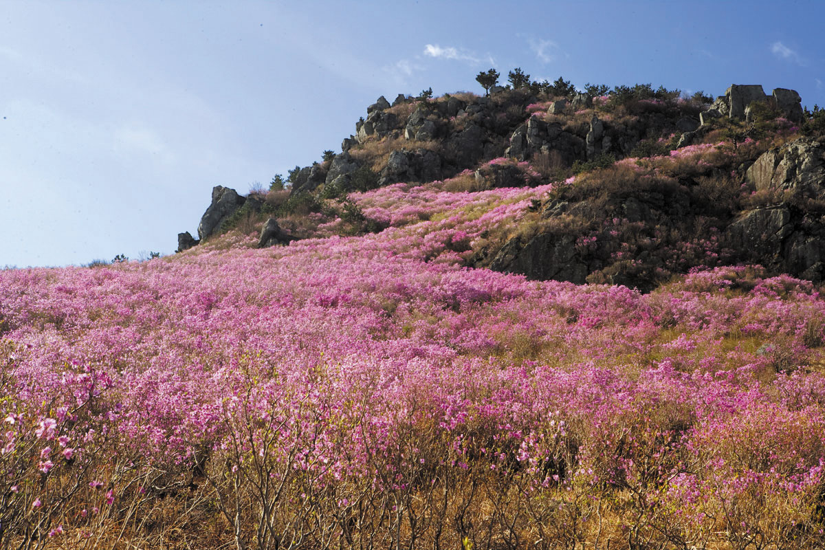 대금산