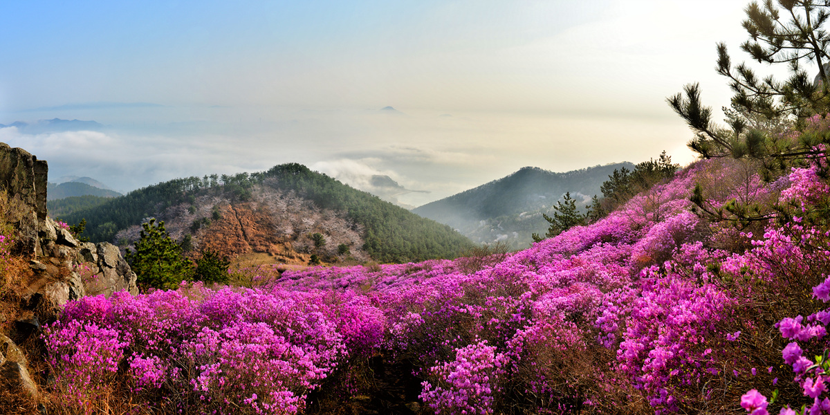 대금산