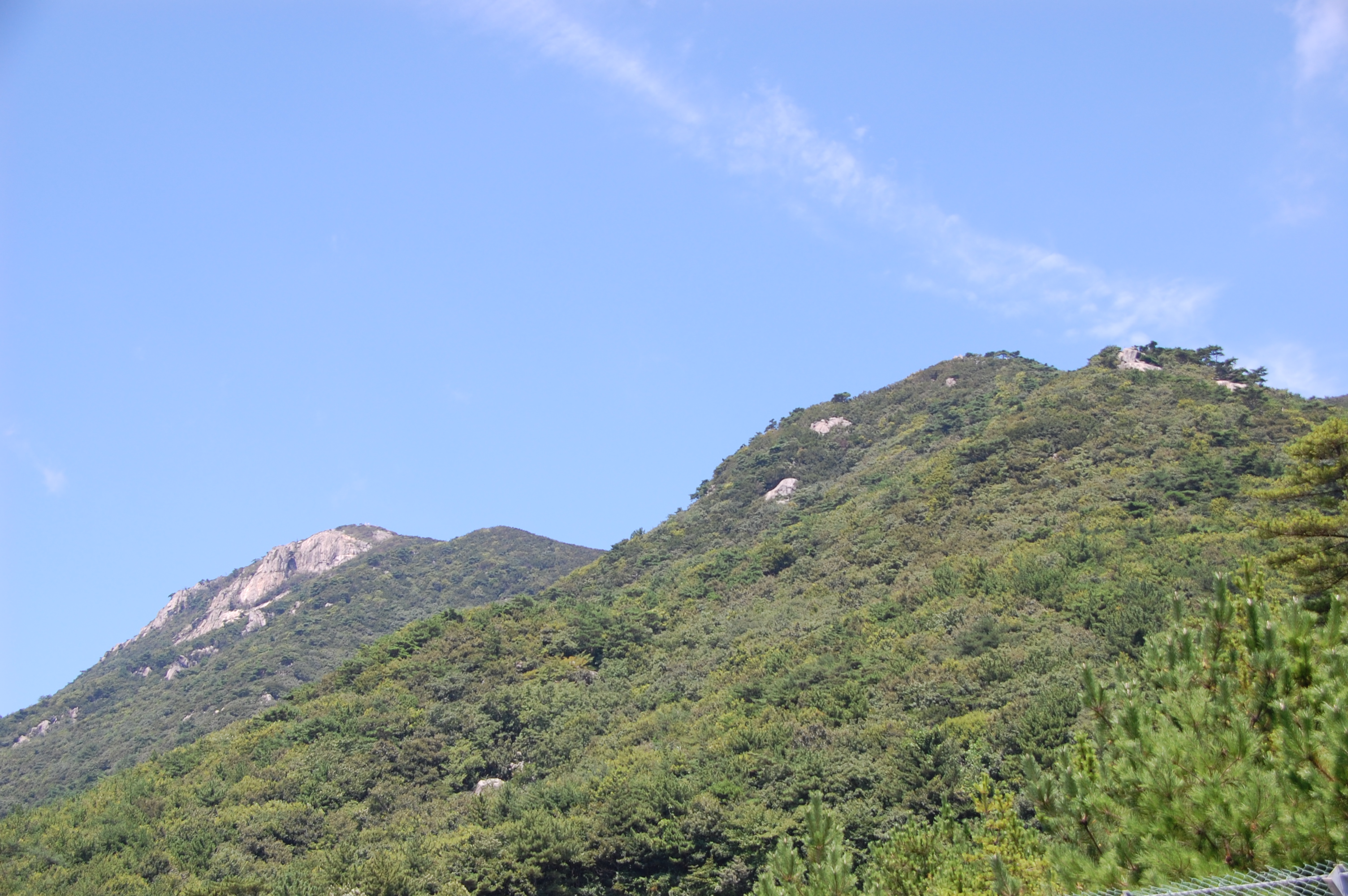 망산