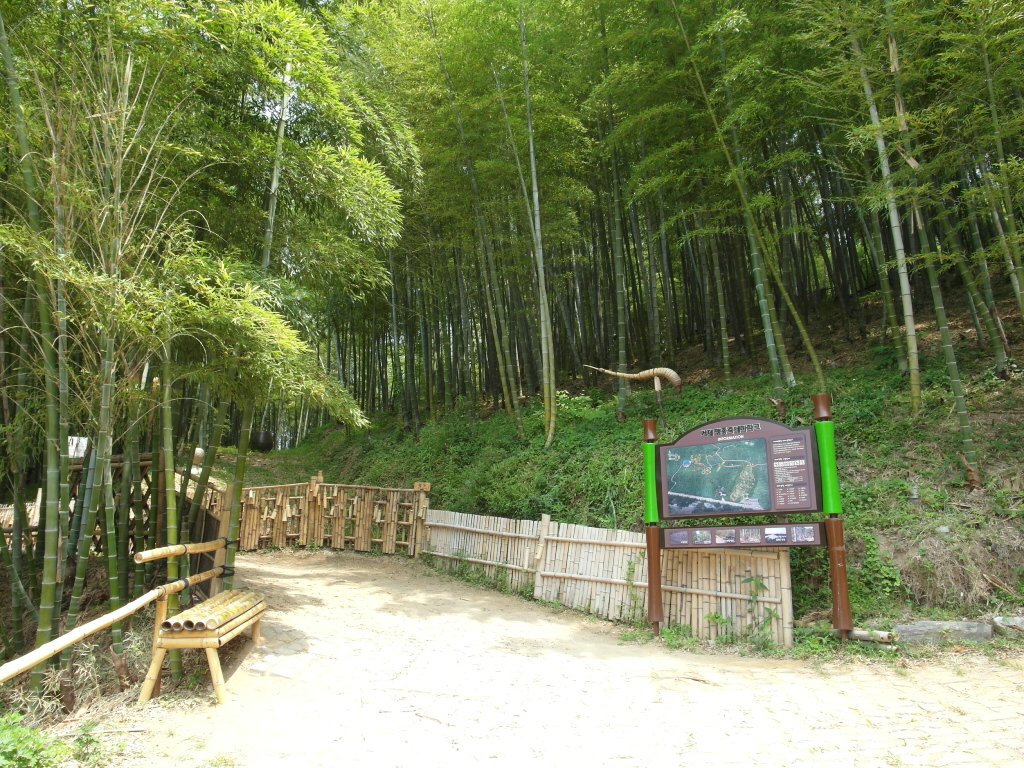 거제맹종죽테마파크