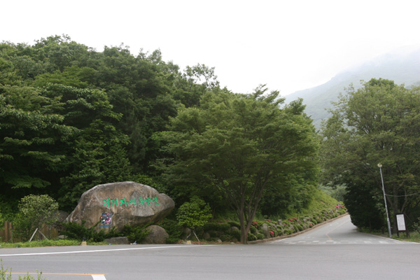 거제자연휴양림