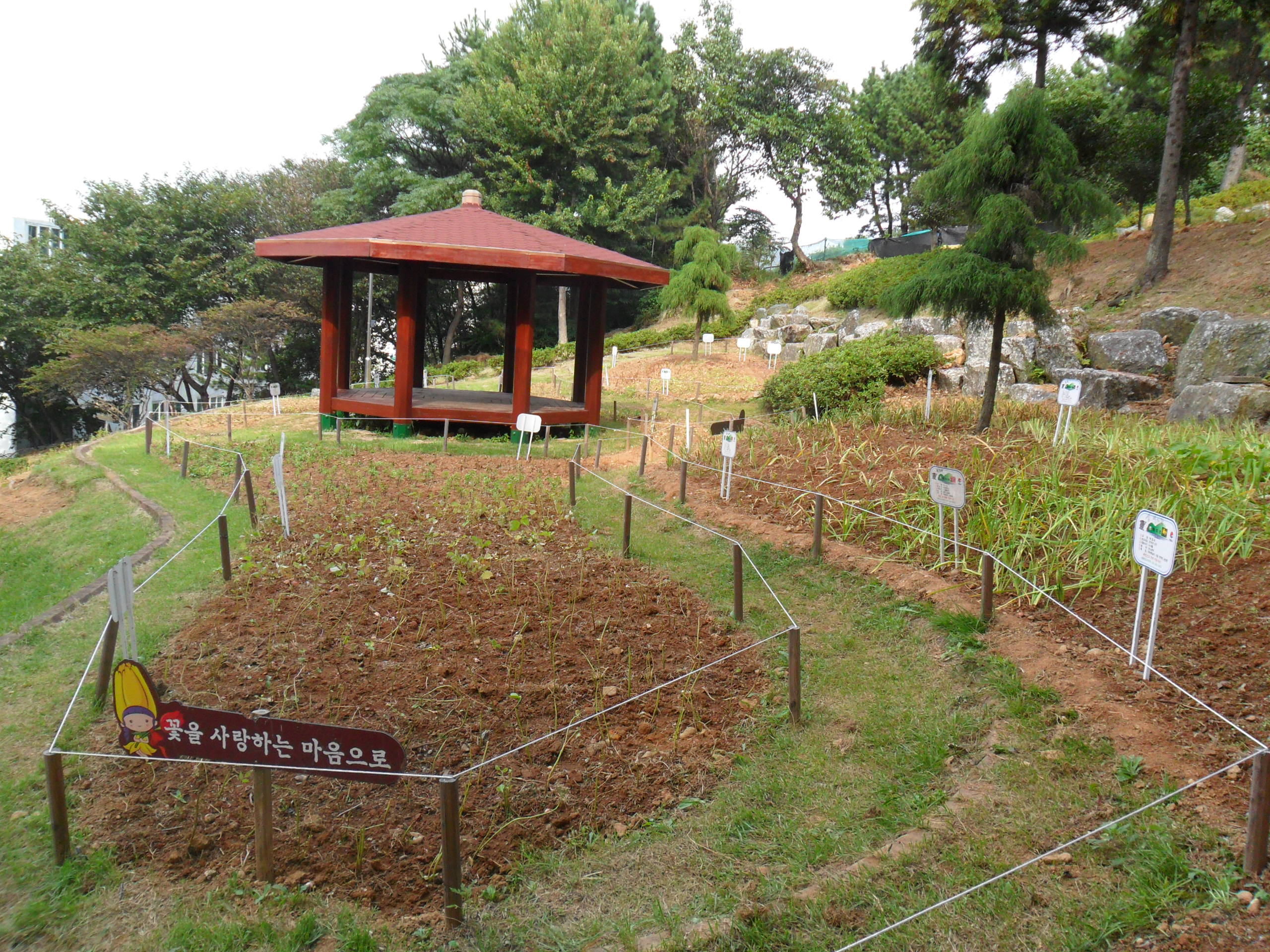 삼밭공원(야생화생태공원)