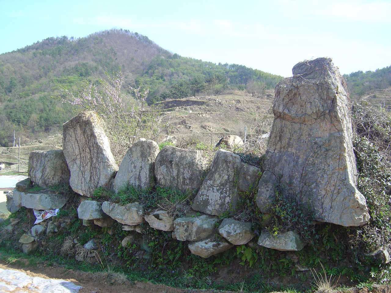 구영등성