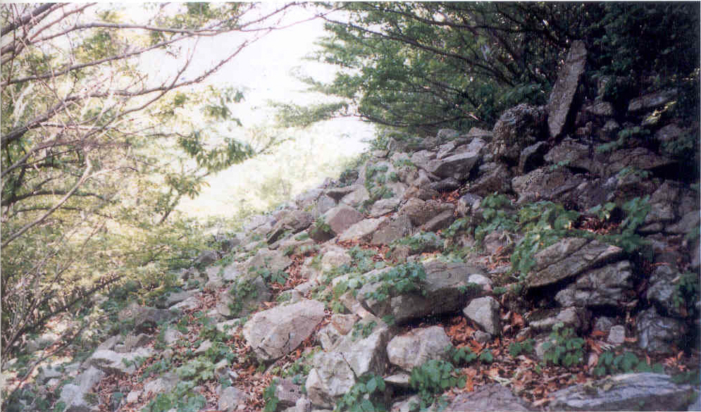 율포산성(栗浦山城)
