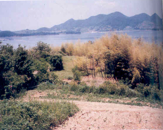 동리 고분군(東里 古墳群)