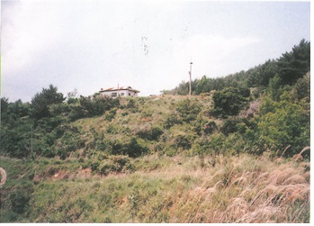 오송리 고분군(五松里 古墳群)
