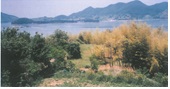 외간리 고분군(外看里 古墳群)