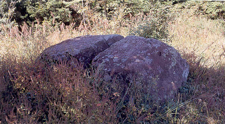 중리 지석묘(中里 支石墓)