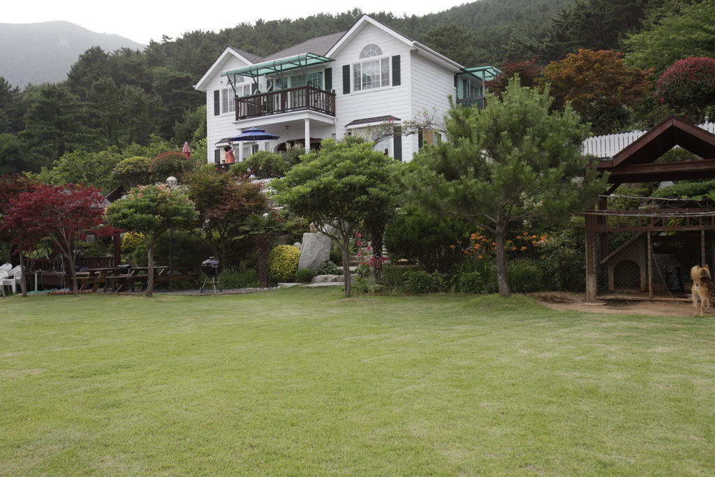 망치콘도