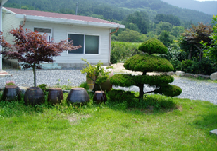 포식정