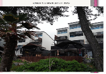 파인비취 A