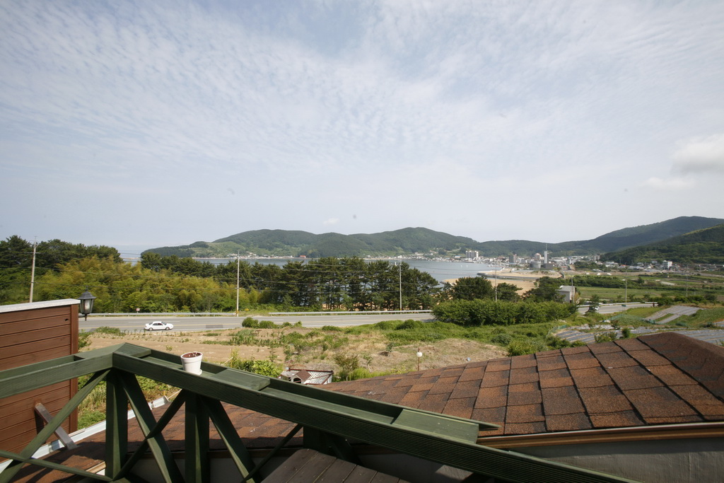 룸 정보