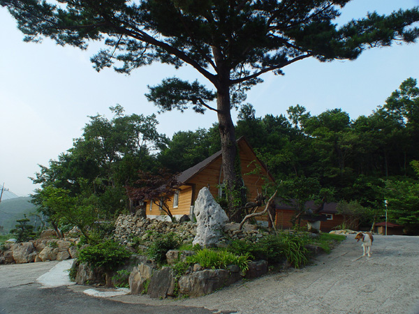 산마루통나무펜션