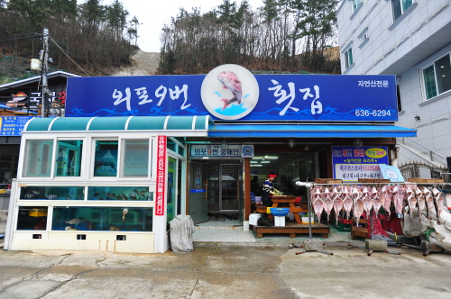 외포9번횟집