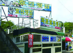 외포효진횟집