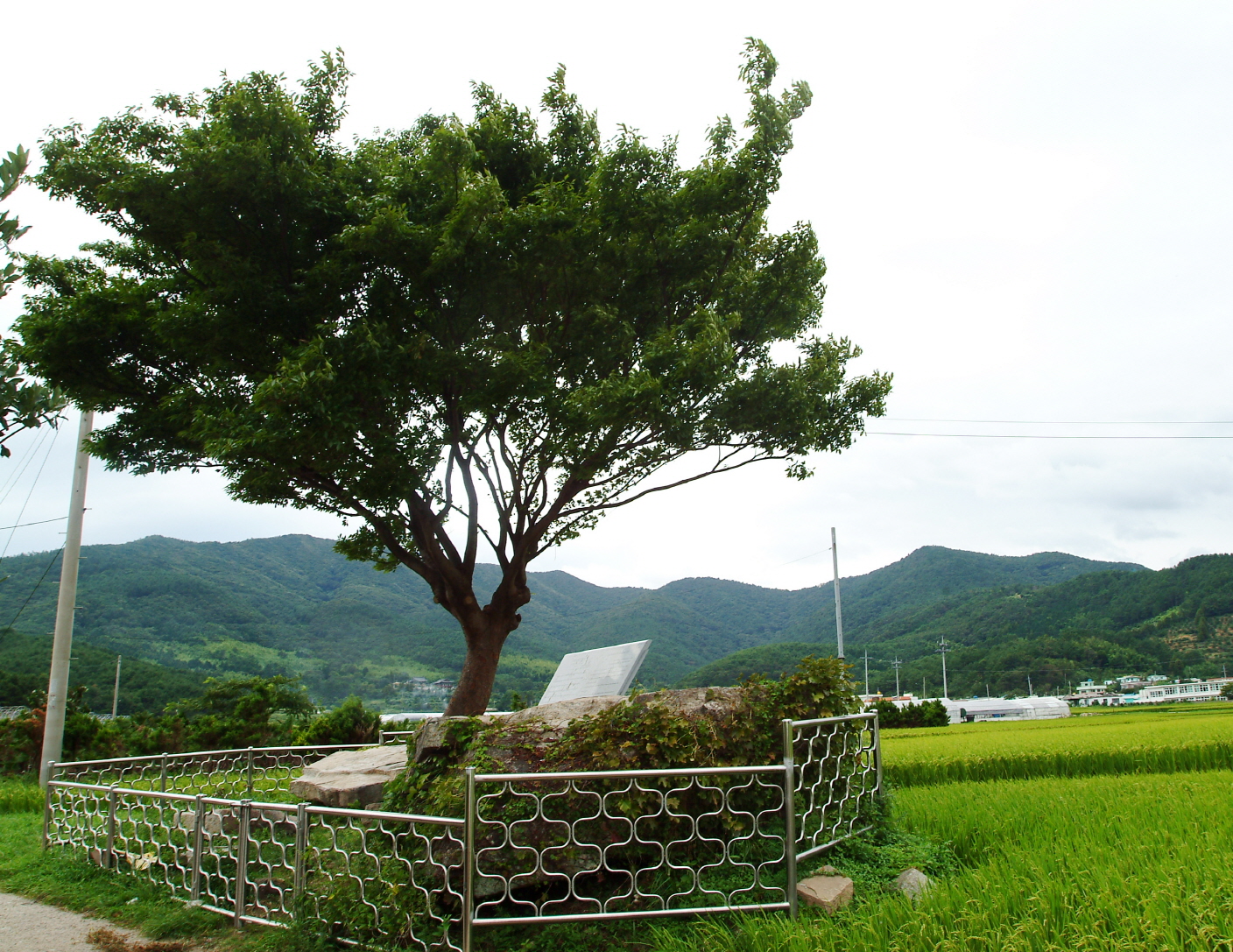 지세포리 지석묘