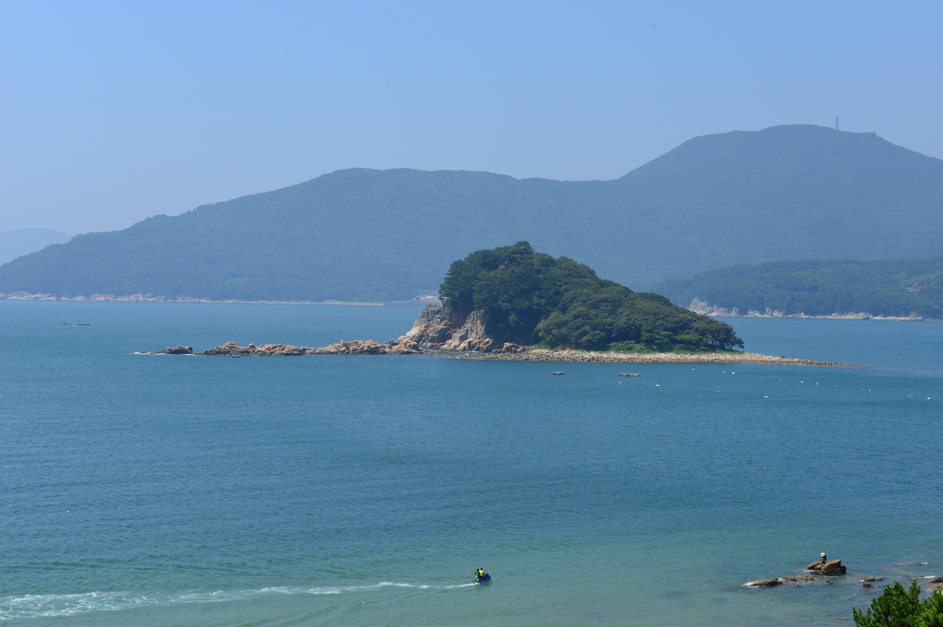 윤돌섬 상록수림