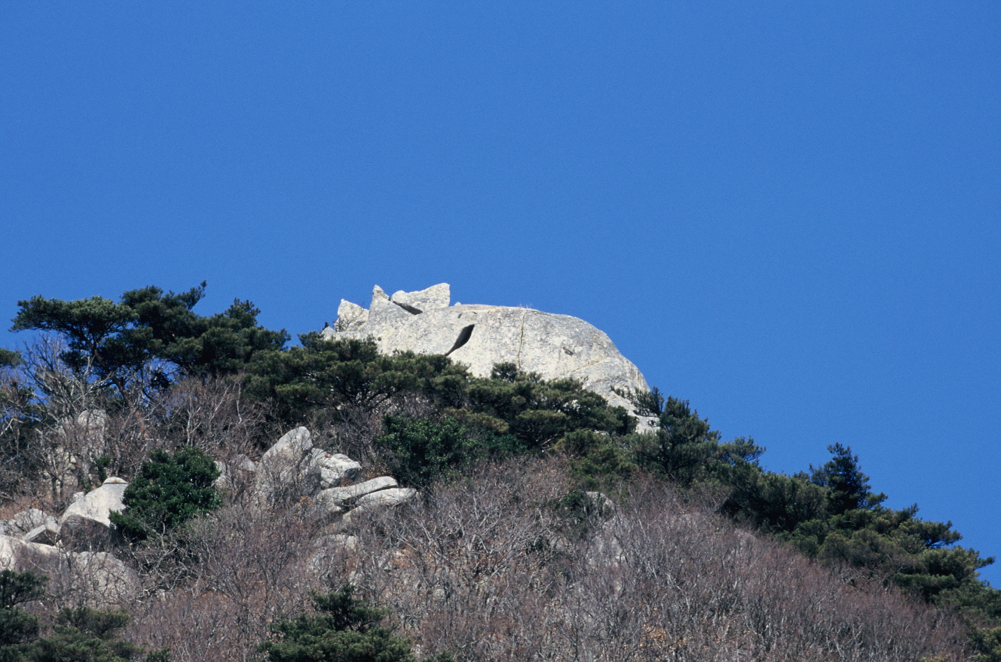 노자산