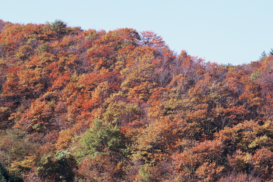 북병산