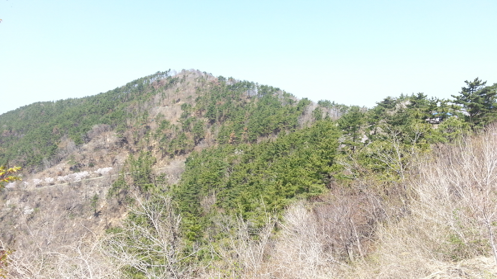 산방산삼월삼짇날축제