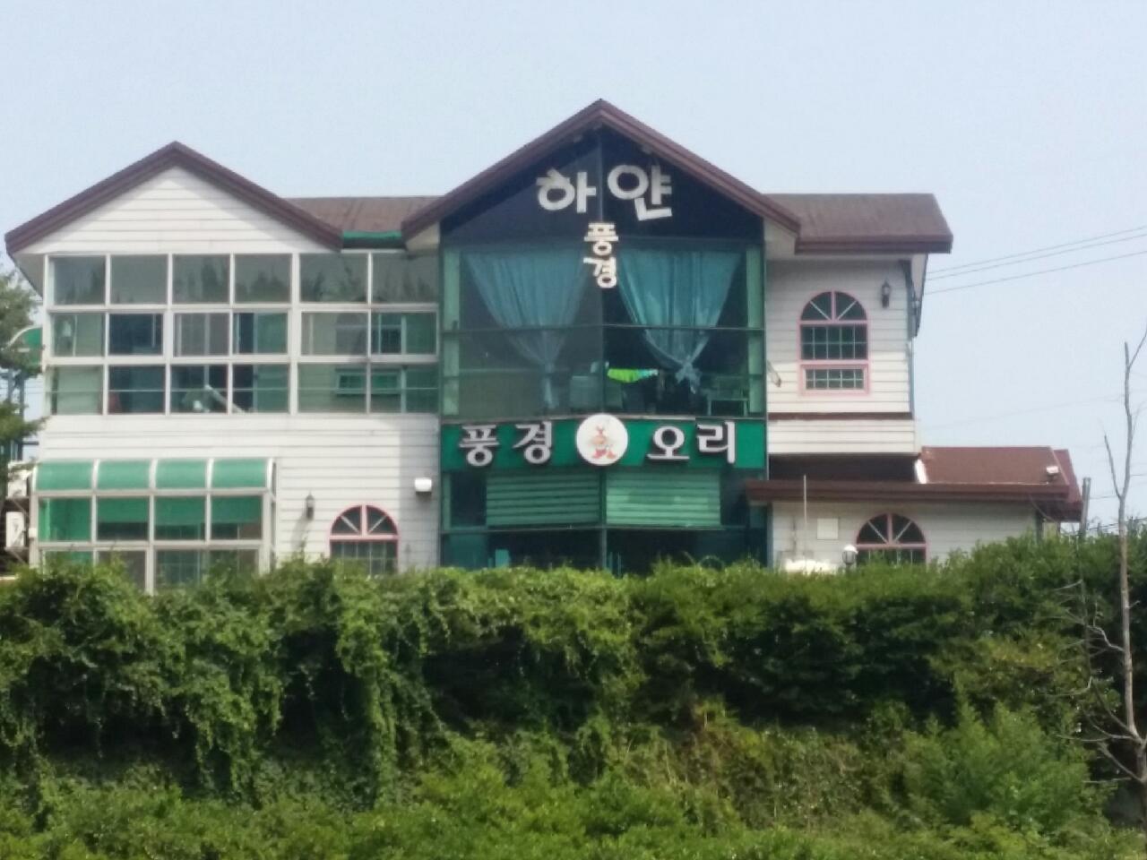 하얀풍경오리