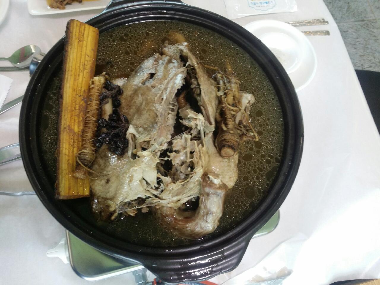 하얀풍경오리