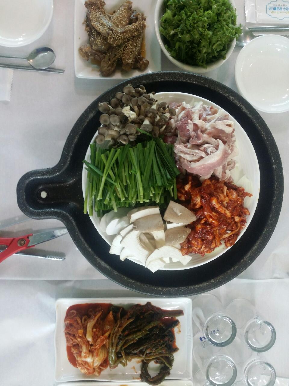 하얀풍경오리