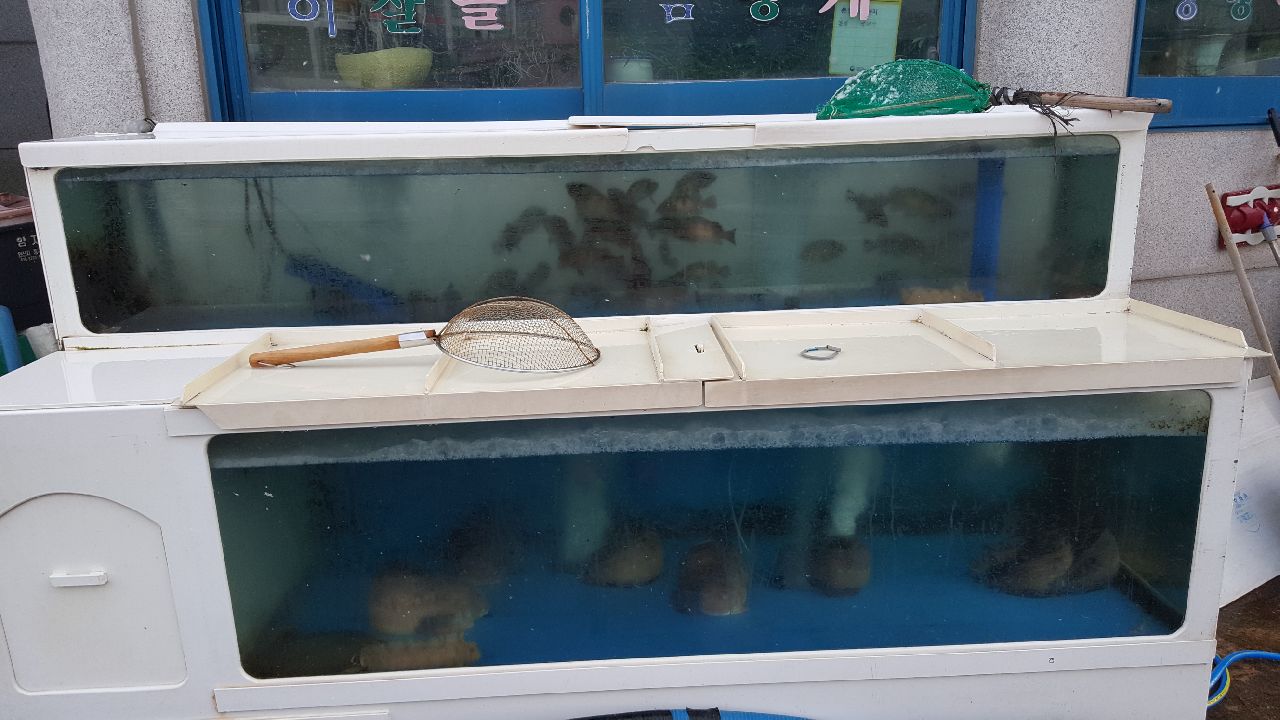 해양식당