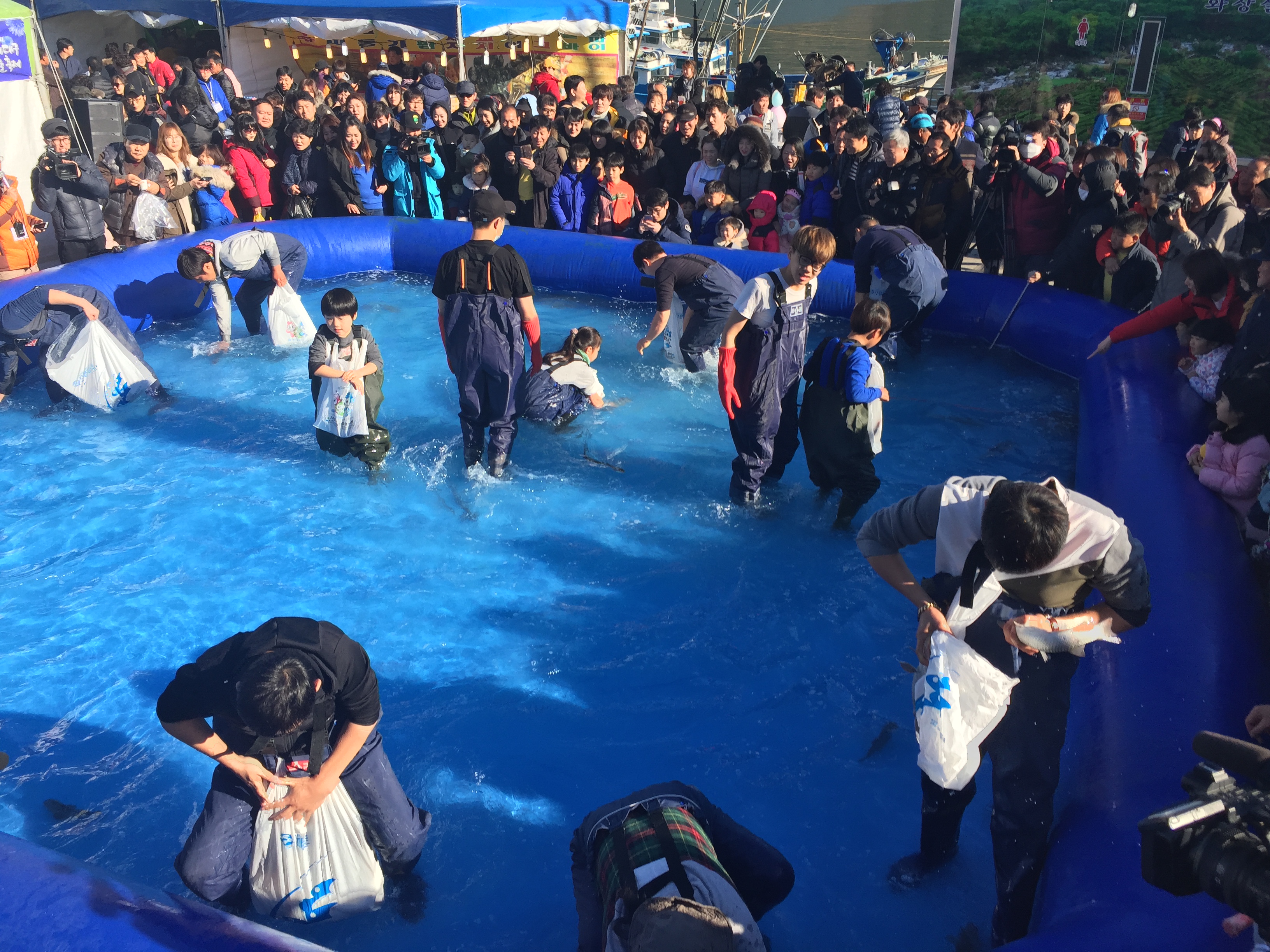 거제 대구수산물 축제