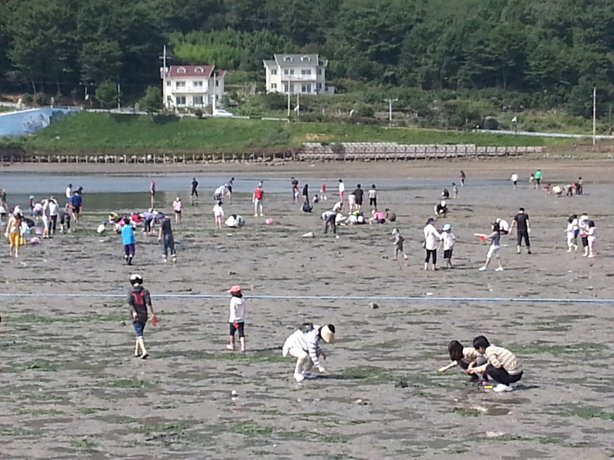 다대어촌체험마을