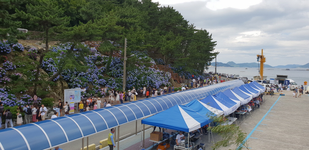 남부면 수국축제